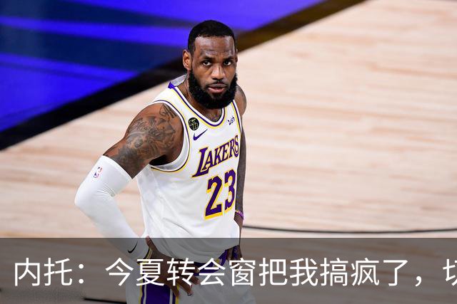 内托：今夏转会窗把我搞疯了，切尔西像家一样