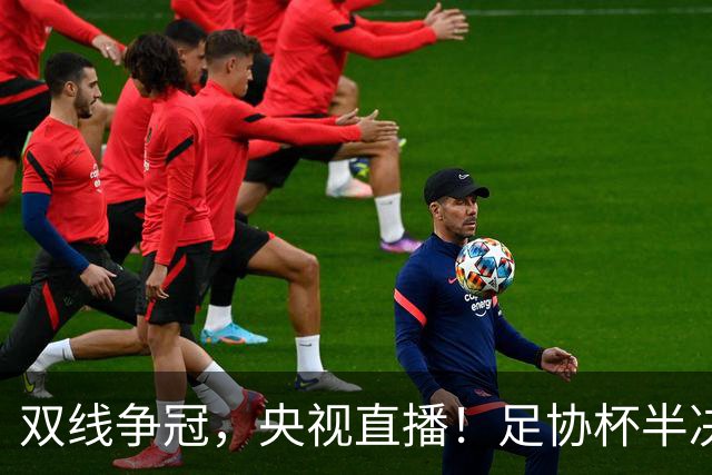 双线争冠，央视直播！足协杯半决赛先赛1场，大连英博客战云南玉昆