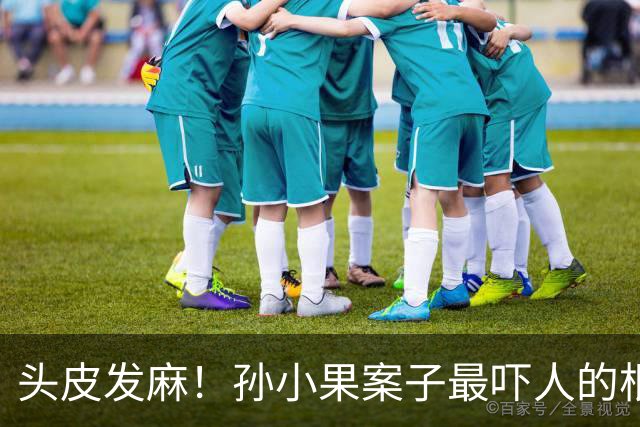 头皮发麻！孙小果案子最吓人的根本不是他行凶有多狠，他妈孙鹤予早就被开除公职，继父李桥忠就只是五华区城管局局长