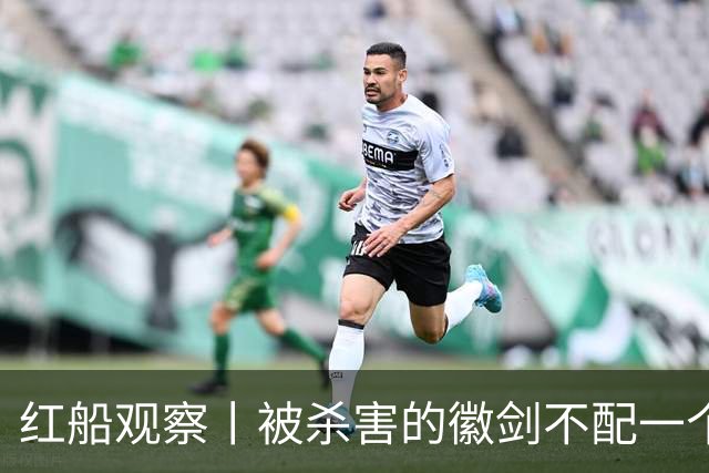 红船观察丨被杀害的徽剑不配一个“反诈先锋”称号？