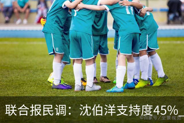 联合报民调：沈伯洋支持度45% 略胜蒋万安41%