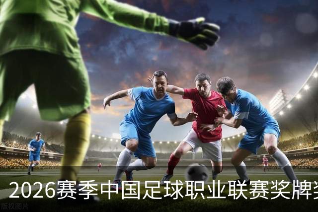2026赛季中国足球职业联赛奖牌奖杯奖盘供应商征集-结果公告