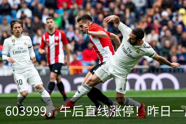 603999，午后直线涨停！昨日一度跌停